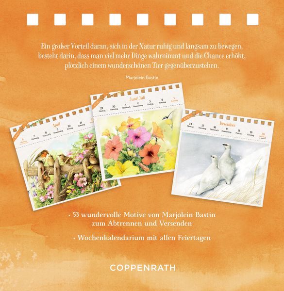 Produktbild: Kalender mit 53 Postkarten
