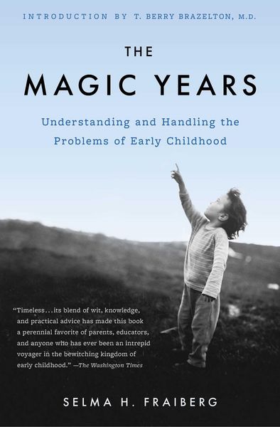 Produktbild: The Magic Years