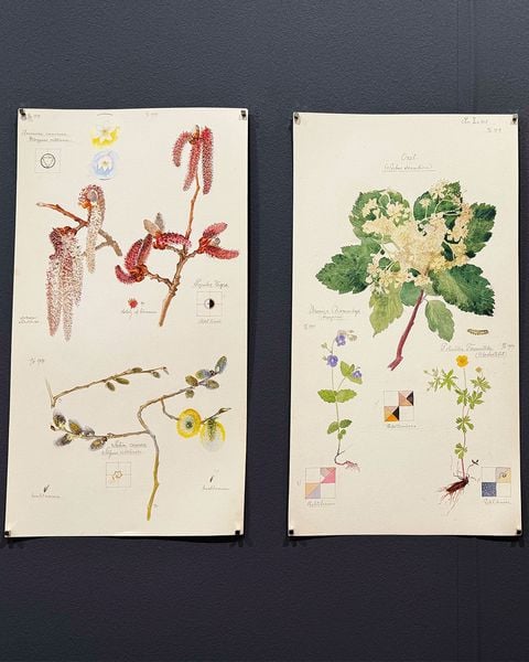 Produktbild: Hilma af Klint. Flora