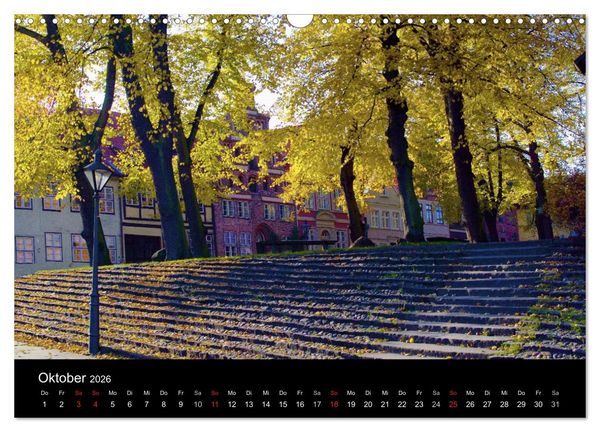 Produktbild: L&uuml;neburg und die L&uuml;neburger Heide (Wandkalender 2026 DIN A3 quer), CALVENDO Monatskalender