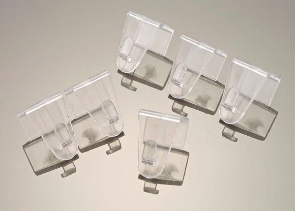 Fensterklipp transparent, 10er Set