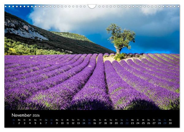 Produktbild: Provence - Lavendelbl&uuml;te (Wandkalender 2026 DIN A3 quer), CALVENDO Monatskalender