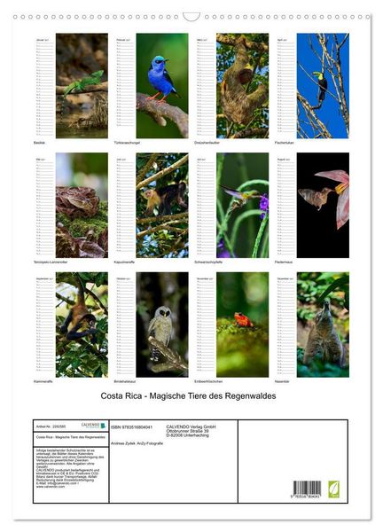 Produktbild: Costa Rica - Magische Tiere des Regenwaldes (Wandkalender 2027 DIN A2 hoch), CALVENDO Monatskalender