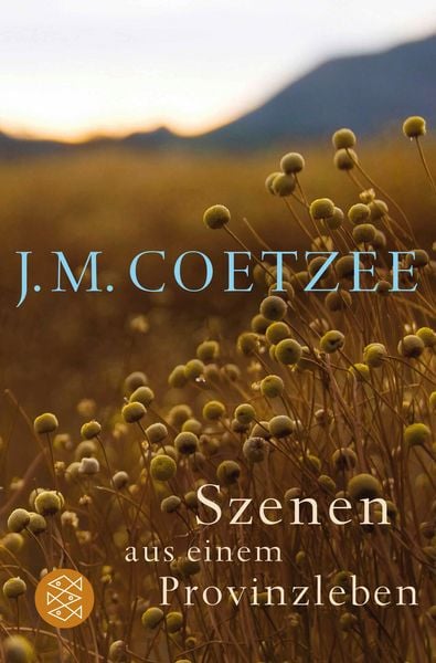 Produktbild: Szenen aus einem Provinzleben