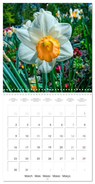 Produktbild: Harmonie Florale Des Pr&eacute;s aux Villes (Calendrier mural carr&eacute; 2026 30x30 cm) Calendrier double avec une page pour vos prises de notes