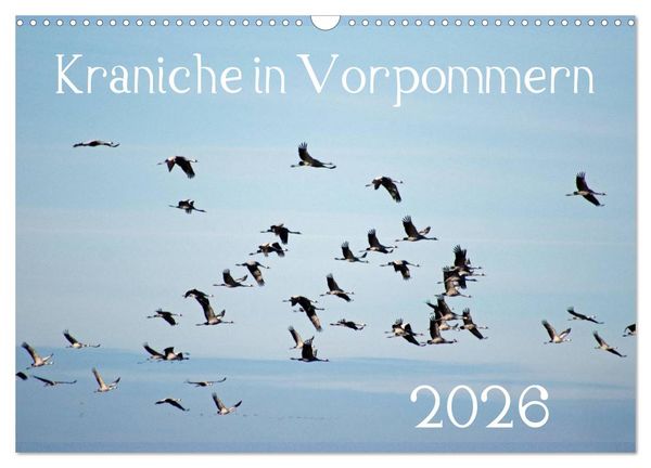 Produktbild: Kraniche in Vorpommern (Wandkalender 2026 DIN A3 quer), CALVENDO Monatskalender