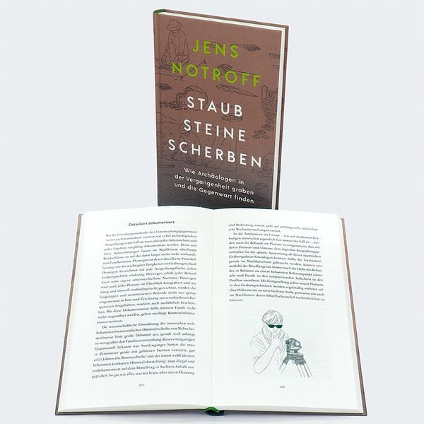 Produktbild: Staub, Steine, Scherben