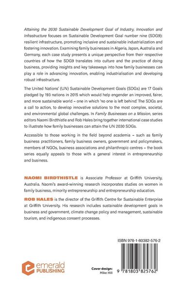 Produktbild: Attaining the 2030 Sustainable Development Goal of Industry, Innovation and Infrastructure