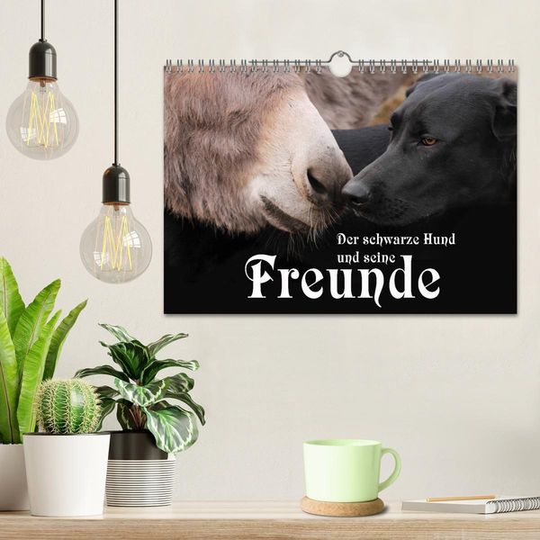 Produktbild: Der schwarze Hund und seine Freunde (Wandkalender 2026 DIN A4 quer), CALVENDO Monatskalender