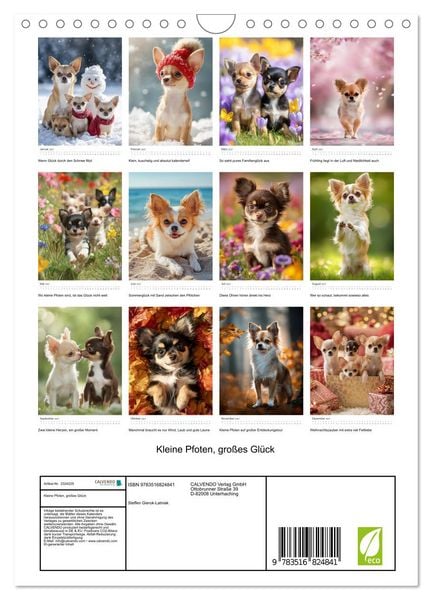 Produktbild: Kleine Pfoten, gro&szlig;es Gl&uuml;ck (Wandkalender 2027 DIN A4 hoch), CALVENDO Monatskalender
