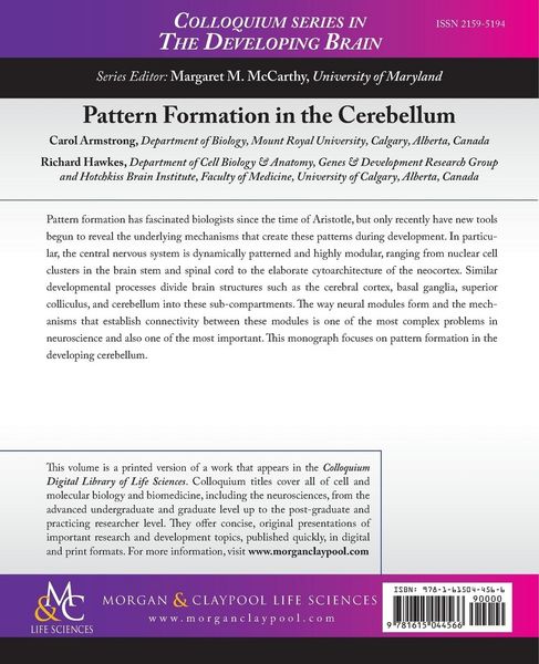 Produktbild: Pattern Formation in the Cerebellum