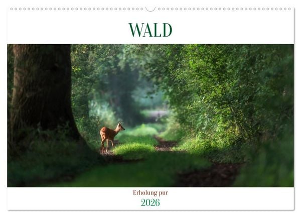 WALD Erholung pur (Wandkalender 2026 DIN A2 quer), CALVENDO Monatskalender