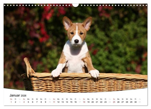 Produktbild: Welpen - Puppies (Wandkalender 2026 DIN A3 quer), CALVENDO Monatskalender