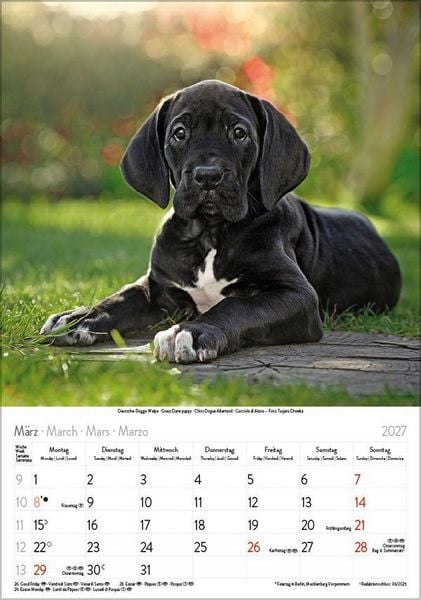 Produktbild: Hunde 2027