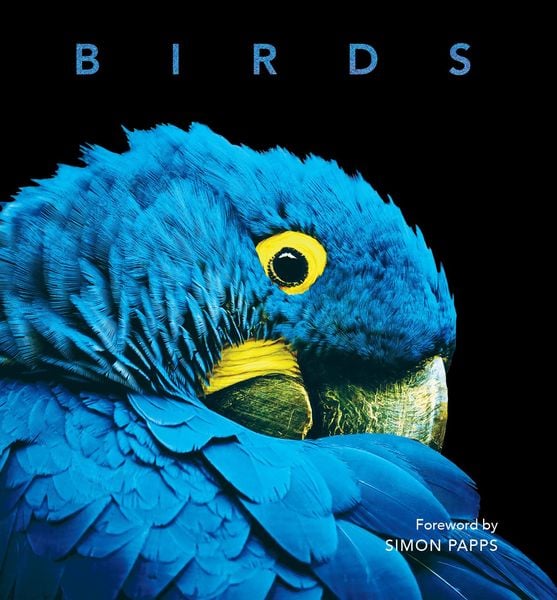 Produktbild: Birds