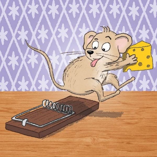 Produktbild: Schnapp den K&auml;se!