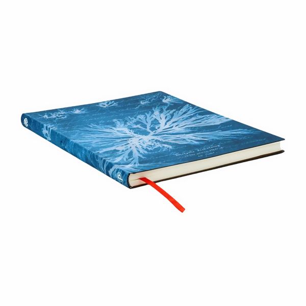 Produktbild: Notizbuch, Meeresblumen, Ultra, Liniert
