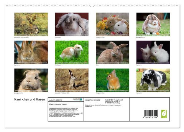 Produktbild: Kaninchen und Hasen (hochwertiger Premium Wandkalender 2026 DIN A2 quer), Kunstdruck in Hochglanz