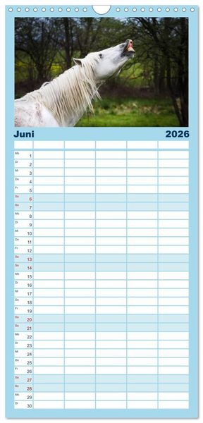 Produktbild: Familienplaner 2026 - Wei&szlig;e Pferde der Camargue in Bayern mit 5 Spalten (Wandkalender, 21 x 45 cm) CALVENDO