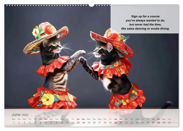 Produktbild: Positive new start after divorce (Wall Calendar 2026 DIN A2 landscape), CALVENDO 12 Month Wall Calendar