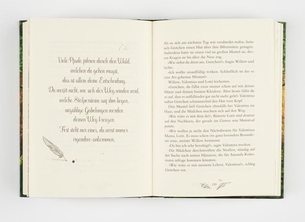 Produktbild: Ein M&auml;dchen namens Willow 2: Waldgefl&uuml;ster