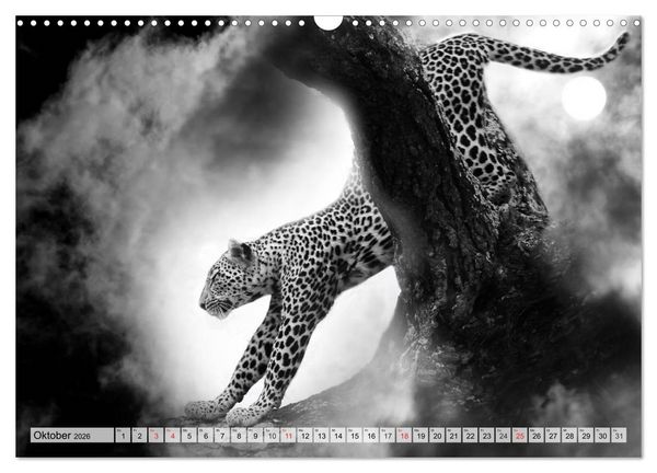 Produktbild: Wilde Tiere in schwarz-wei&szlig; (Wandkalender 2026 DIN A3 quer), CALVENDO Monatskalender