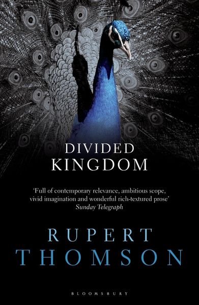 Produktbild: Divided Kingdom