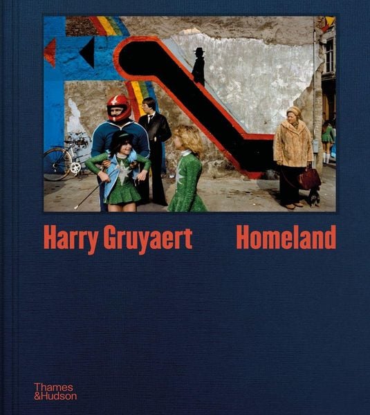 Produktbild: Harry Gruyaert: Homeland
