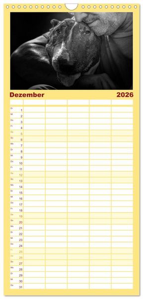 Produktbild: Familienplaner 2026 - Bullterrier mit 5 Spalten (Wandkalender, 21 x 45 cm) CALVENDO