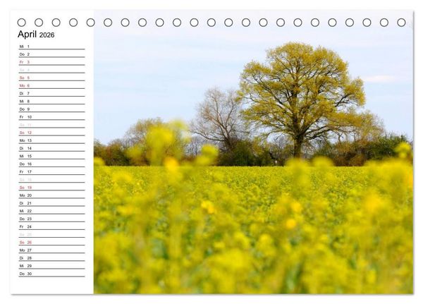 Produktbild: Die Jahreszeiten im Havelland (Tischkalender 2026 DIN A5 quer), CALVENDO Monatskalender