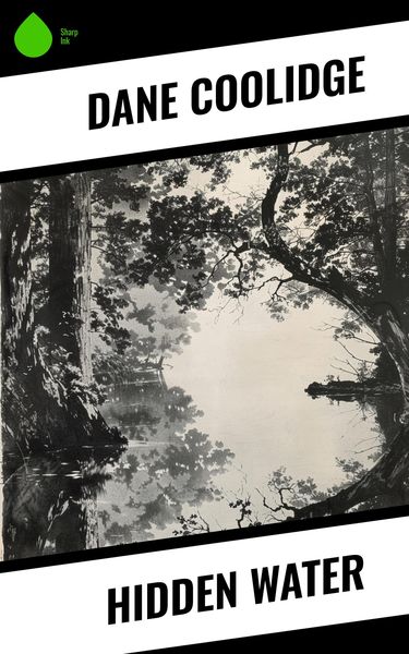 Produktbild: Hidden Water