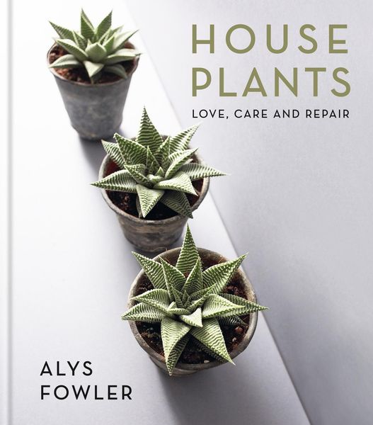 Produktbild: House Plants