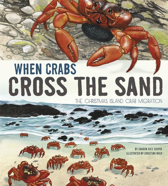 Produktbild: When Crabs Cross the Sand