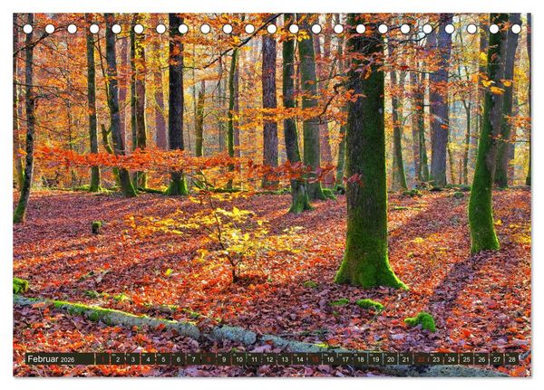 Produktbild: Der Altschlossfelsen - Gr&ouml;&szlig;te Felsformation der Pfalz im herbstlichen Farbspiel (Tischkalender 2026 DIN A5 quer), CALVENDO Monatskalender
