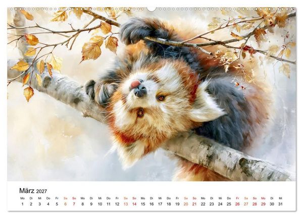 Produktbild: Roter Panda - Tierische Eleganz (Wandkalender 2027 DIN A2 quer), CALVENDO Monatskalender