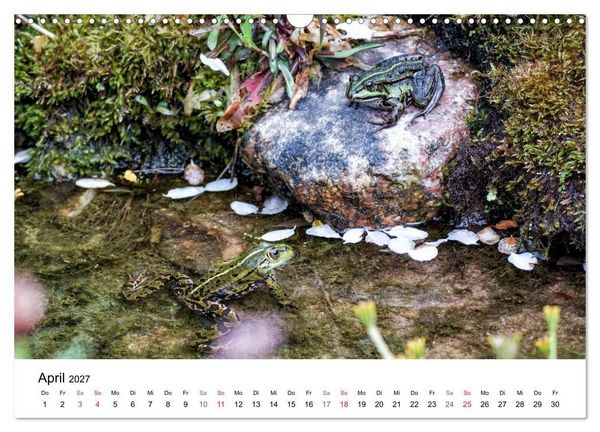 Produktbild: Paradies Naturgarten (Wandkalender 2027 DIN A3 quer), CALVENDO Monatskalender