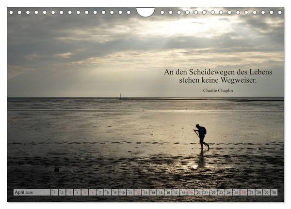 Produktbild: Weises (Wandkalender 2026 DIN A4 quer), CALVENDO Monatskalender