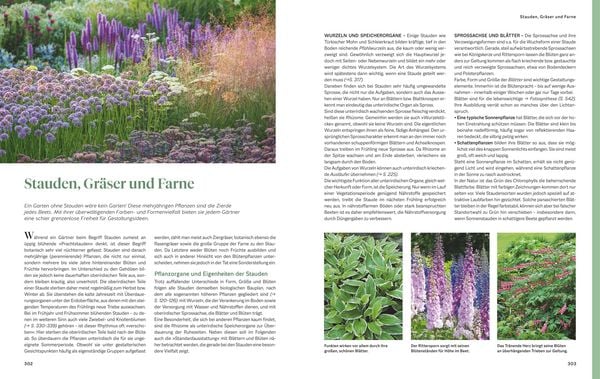 Produktbild: Das gro&szlig;e Praxishandbuch Garten