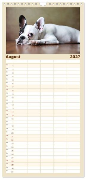 Produktbild: Familienplaner 2027 - Charme auf vier Pfoten - Franz&ouml;sische Bulldoggen Portraits mit 5 Spalten (Wandkalender, 21 x 45 cm) CALVENDO