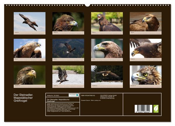 Produktbild: Der Steinadler. Majest&auml;tischer Greifvogel (hochwertiger Premium Wandkalender 2026 DIN A2 quer), Kunstdruck in Hochglanz
