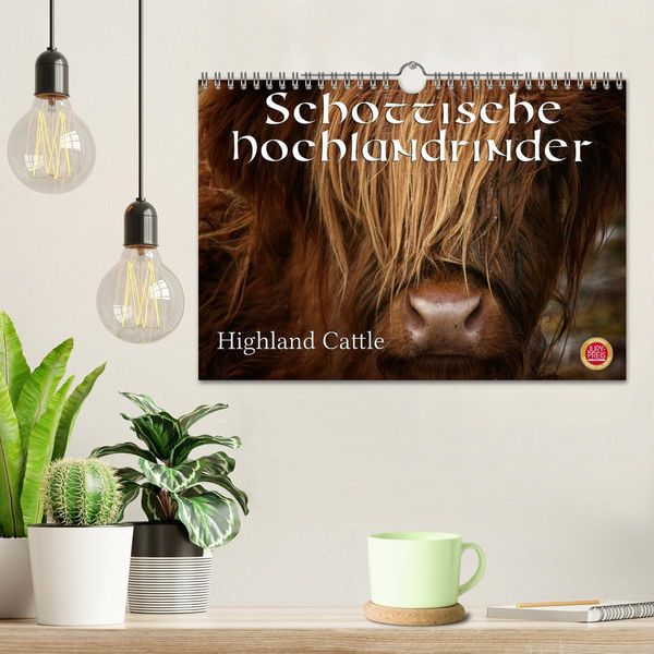 Produktbild: Schottische Hochlandrinder - Highland Cattle (Wandkalender 2026 DIN A4 quer), CALVENDO Monatskalender