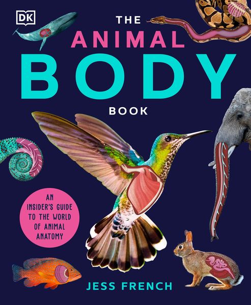 Produktbild: The Animal Body Book