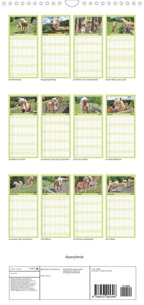Produktbild: Familienplaner Alpenpferde (Wandkalender 2022 , 21 cm x 45 cm, hoch)