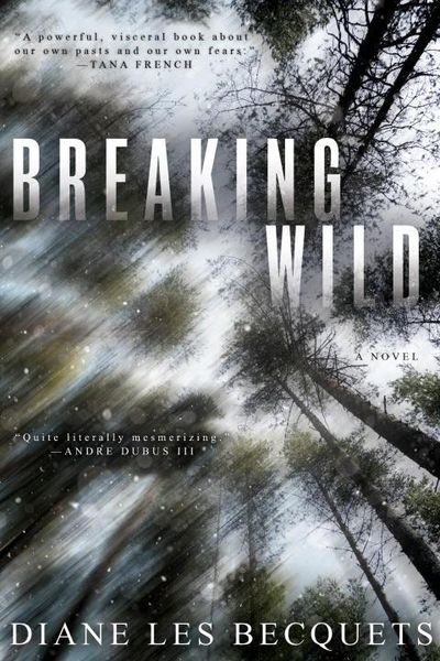 Produktbild: Breaking Wild