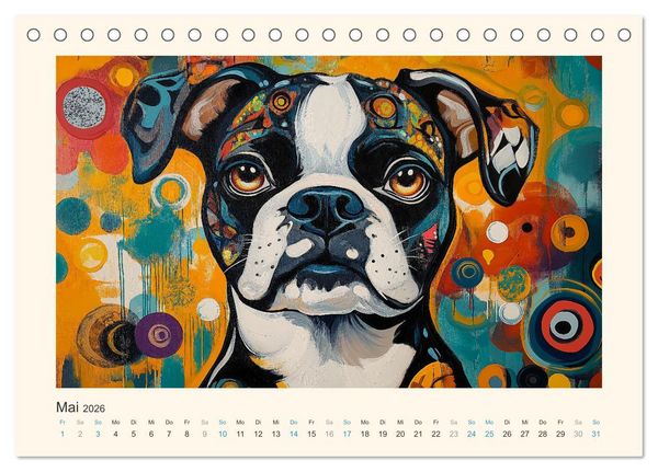Produktbild: Bunte Boxer (Tischkalender 2026 DIN A5 quer), CALVENDO Monatskalender