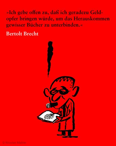Produktbild: Ach die dumme Literatur!