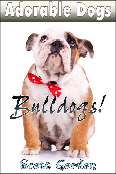 Produktbild: Adorable Dogs: Bulldogs