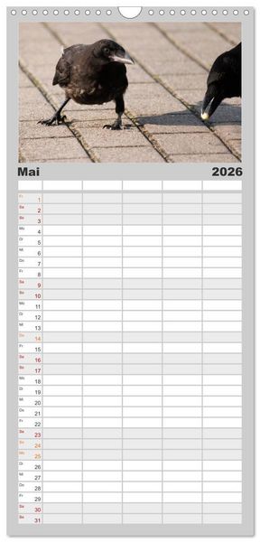 Produktbild: Familienplaner 2026 - Rabenschwarze Impressionen - meike-ajo-dettlaff.de via wildvogelhlfe.org mit 5 Spalten (Wandkalender, 21 x 45 cm) CALVENDO