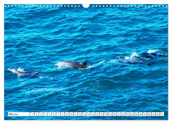 Produktbild: K&uuml;stenparadies - Noosa Nationalpark Australien (Wandkalender 2026 DIN A3 quer), CALVENDO Monatskalender
