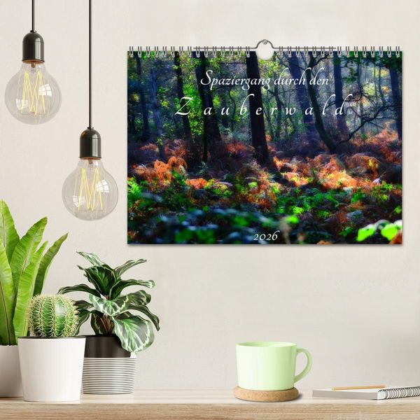 Produktbild: Spaziergang durch den Zauberwald (Wandkalender 2026 DIN A4 quer), CALVENDO Monatskalender